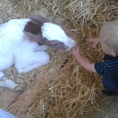 Unterasten Appartamento Rohrberg