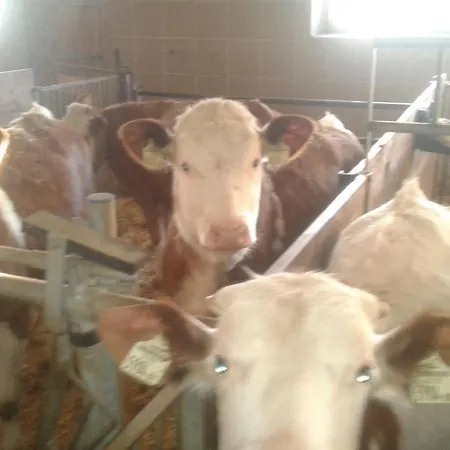 Appartamento Unterasten