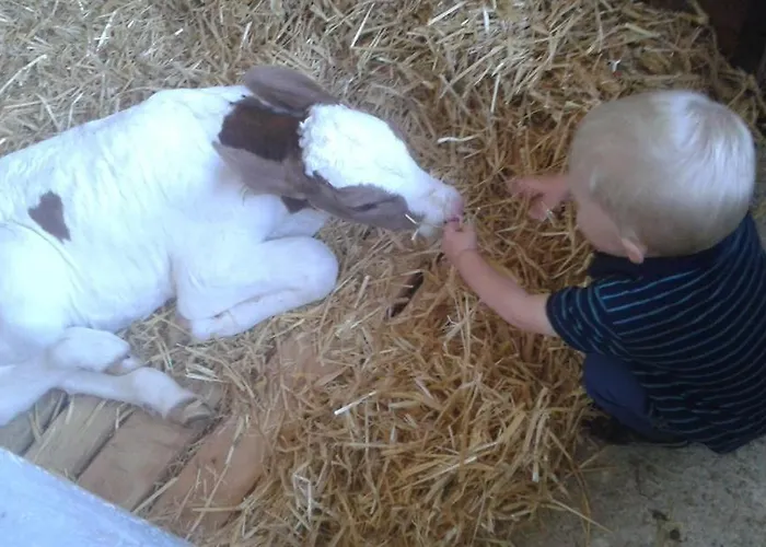 Unterasten Διαμέρισμα Rohrberg