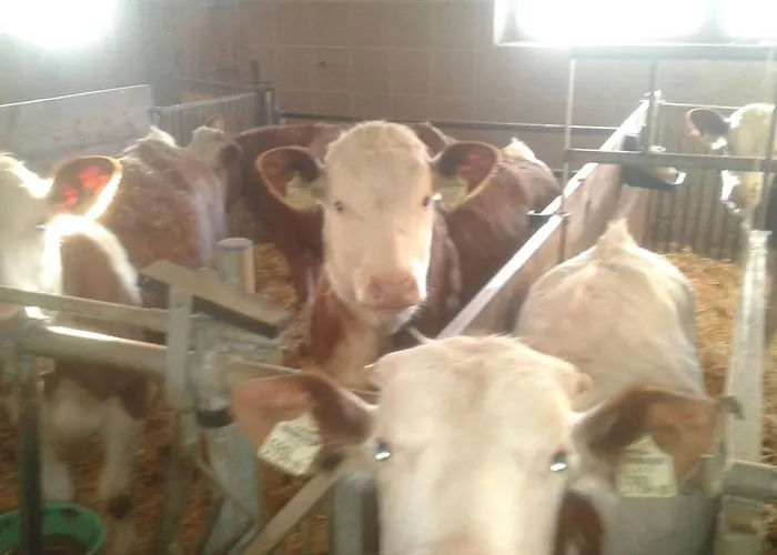 Διαμέρισμα Unterasten